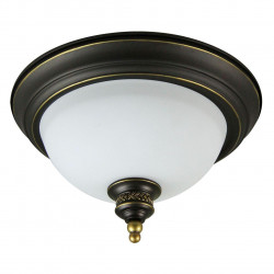 Потолочный светильник Arte Lamp Bonito A9518PL-2BA