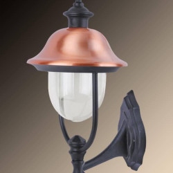 Уличный настенный светильник Arte Lamp Barcelona A1481AL-1BK