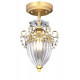 Потолочный светильник Arte Lamp Schelenberg A4410PL-1SR