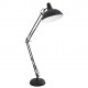 Торшер Arte Lamp Goliath A2487PN-1BK