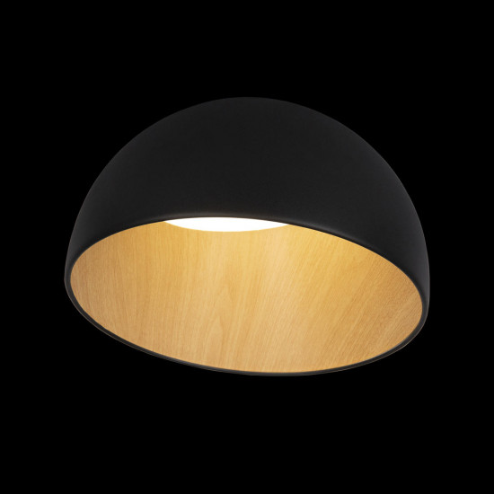 Потолочный светильник с деревом Loft It Egg 10197/350 Black