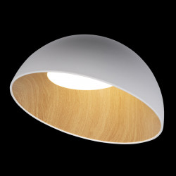 Потолочный светильник с деревом Loft It Egg 10197/500 White