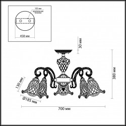 Потолочная люстра Odeon Light Victori 2884/5C