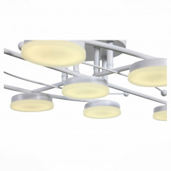 Потолочная светодиодная люстра ST Luce Rugiada SL921.502.09