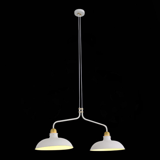 Подвесная люстра ST Luce Pietanza SL323.503.02