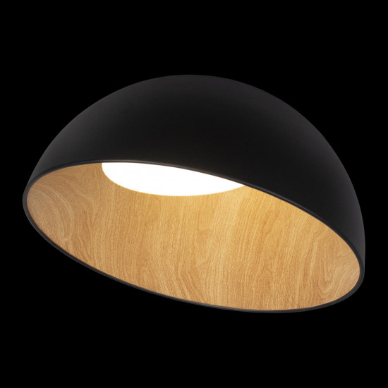 Потолочный светильник с деревом Loft It Egg 10197/500 Black