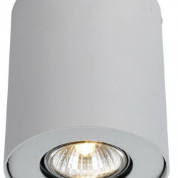 Потолочный светильник Arte Lamp Falcon A5633PL-1WH