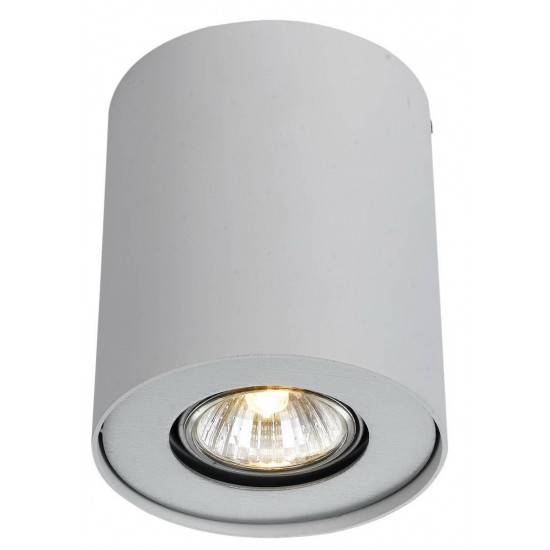 Потолочный светильник Arte Lamp Falcon A5633PL-1WH