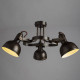 Потолочная люстра Arte Lamp Martin A5216PL-3BR