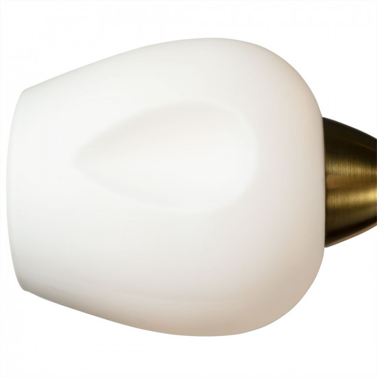 Потолочная люстра Arte Lamp Brighton A2706PL-5CK