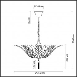 Подвесная люстра Odeon Light Floweri 4838/8