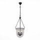 Подвесная люстра ST Luce Sotto SL317.423.03