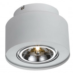 Потолочный светильник Arte Lamp Cliff A5643PL-1WH