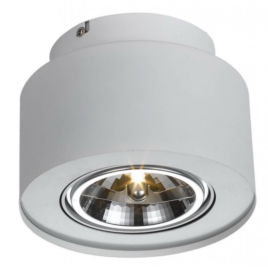 Потолочный светильник Arte Lamp Cliff A5643PL-1WH