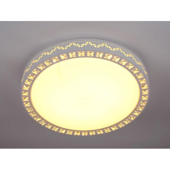 Потолочный светодиодный светильник Escada 10222/S LED