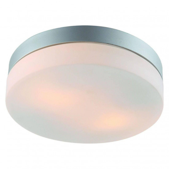 Потолочный светильник Arte Lamp Shirp A3211PL-2SI